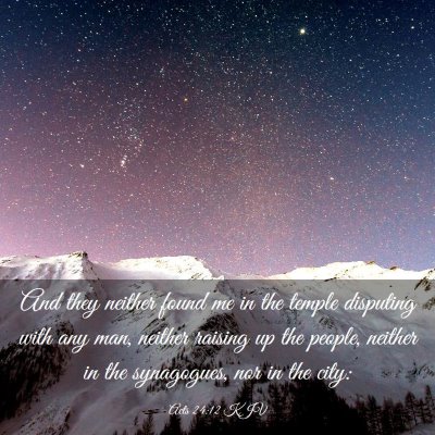 Picture 03 - Acts 24:12 KJV - And they neither found me in the temple disputing - Bible Verse Picture