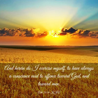 Picture 03 - Acts 24:16 KJV - And herein do I exercise myself, to have always a - Bible Verse Picture