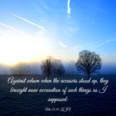 Picture 03 - Acts 25:18 KJV - Against whom when the accusers stood up, they - Bible Verse Picture