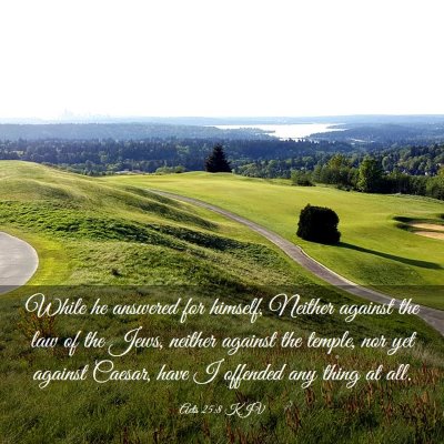 Picture 03 - Acts 25:8 KJV - While he answered for himself, Neither against - Bible Verse Picture
