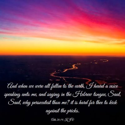 Picture 03 - Acts 26:14 KJV - And when we were all fallen to the earth, I heard - Bible Verse Picture