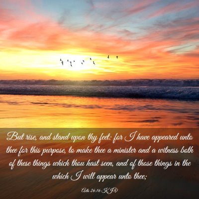 Picture 03 - Acts 26:16 KJV - But rise, and stand upon thy feet: for I have - Bible Verse Picture