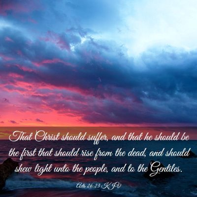 Picture 03 - Acts 26:23 KJV - That Christ should suffer, and that he should be - Bible Verse Picture