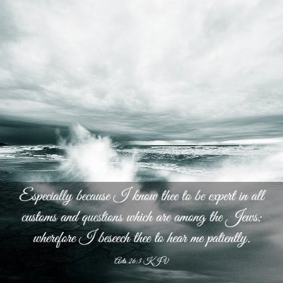 Picture 03 - Acts 26:3 KJV - Especially because I know thee to be expert in - Bible Verse Picture