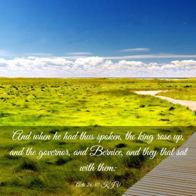 Picture 03 - Acts 26:30 KJV - And when he had thus spoken, the king rose up, - Bible Verse Picture