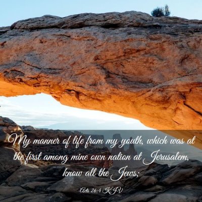 Picture 03 - Acts 26:4 KJV - My manner of life from my youth, which was at the - Bible Verse Picture