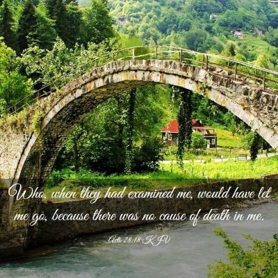 Picture 03 - Acts 28:18 KJV - Who, when they had examined me, would have let me - Bible Verse Picture