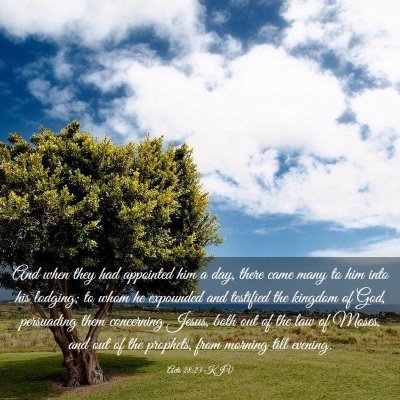Picture 03 - Acts 28:23 KJV - And when they had appointed him a day, there came - Bible Verse Picture