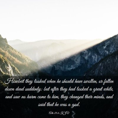 Picture 03 - Acts 28:6 KJV - Howbeit they looked when he should have swollen, - Bible Verse Picture
