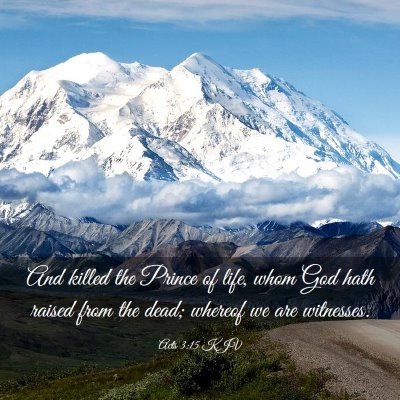Picture 03 - Acts 3:15 KJV - And killed the Prince of life, whom God hath - Bible Verse Picture