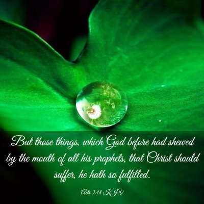 Picture 03 - Acts 3:18 KJV - But those things, which God before had shewed by - Bible Verse Picture