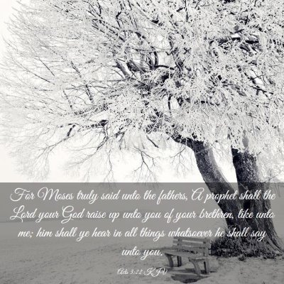 Picture 03 - Acts 3:22 KJV - For Moses truly said unto the fathers, A prophet - Bible Verse Picture