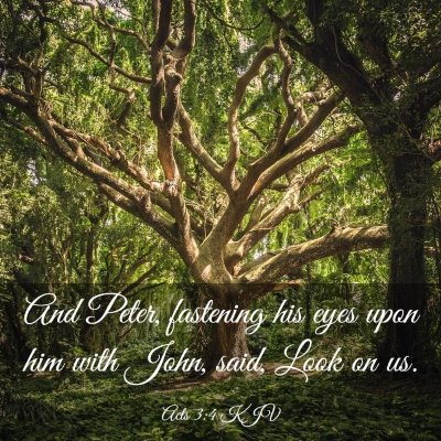 Picture 03 - Acts 3:4 KJV - And Peter, fastening his eyes upon him with John, - Bible Verse Picture