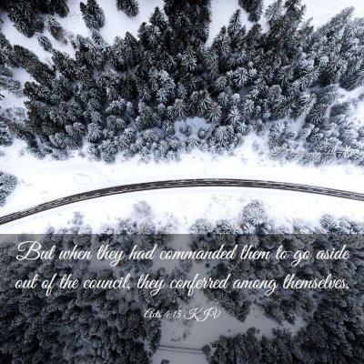 Picture 03 - Acts 4:15 KJV - But when they had commanded them to go aside out - Bible Verse Picture