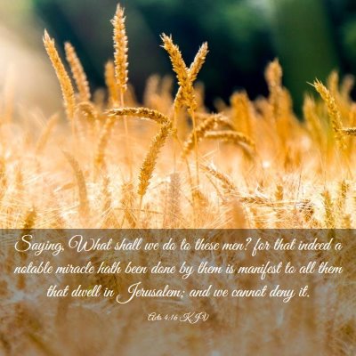 Picture 03 - Acts 4:16 KJV - Saying, What shall we do to these men? for that - Bible Verse Picture