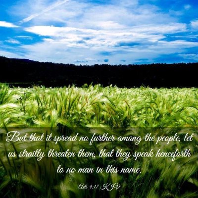 Picture 03 - Acts 4:17 KJV - But that it spread no further among the people, - Bible Verse Picture