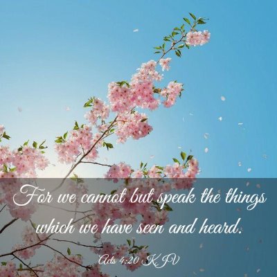 Picture 03 - Acts 4:20 KJV - For we cannot but speak the things which we have - Bible Verse Picture