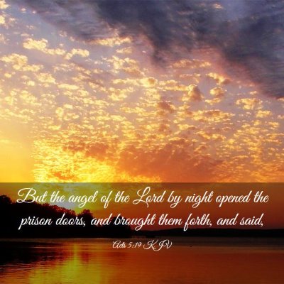 Picture 03 - Acts 5:19 KJV - But the angel of the Lord by night opened the - Bible Verse Picture