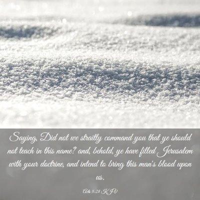 Picture 03 - Acts 5:28 KJV - Saying, Did not we straitly command you that ye - Bible Verse Picture