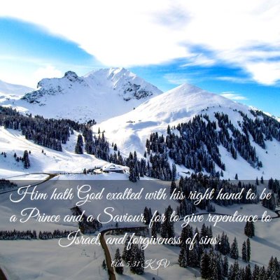 Picture 03 - Acts 5:31 KJV - Him hath God exalted with his right hand to be a - Bible Verse Picture