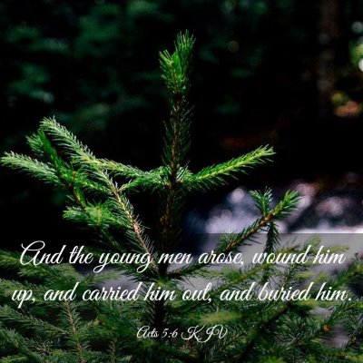 Picture 03 - Acts 5:6 KJV - And the young men arose, wound him up, and - Bible Verse Picture