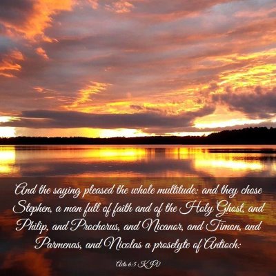 Picture 03 - Acts 6:5 KJV - And the saying pleased the whole multitude: and - Bible Verse Picture