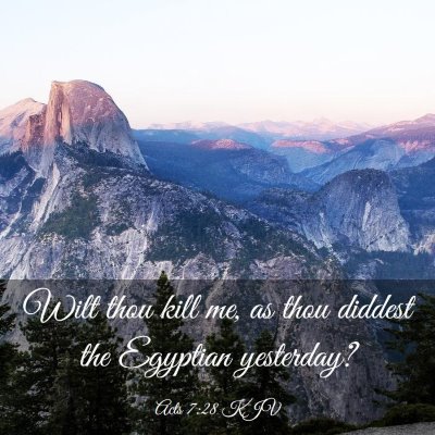 Picture 03 - Acts 7:28 KJV - Wilt thou kill me, as thou diddest the Egyptian - Bible Verse Picture