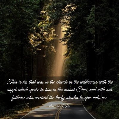 Picture 03 - Acts 7:38 KJV - This is he, that was in the church in the - Bible Verse Picture