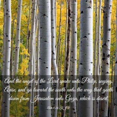 Picture 03 - Acts 8:26 KJV - And the angel of the Lord spake unto Philip, - Bible Verse Picture
