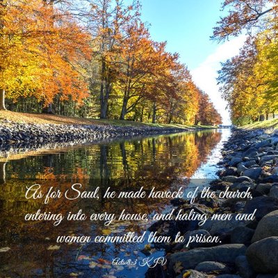 Picture 03 - Acts 8:3 KJV - As for Saul, he made havock of the church, - Bible Verse Picture