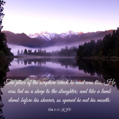 Picture 03 - Acts 8:32 KJV - The place of the scripture which he read was - Bible Verse Picture