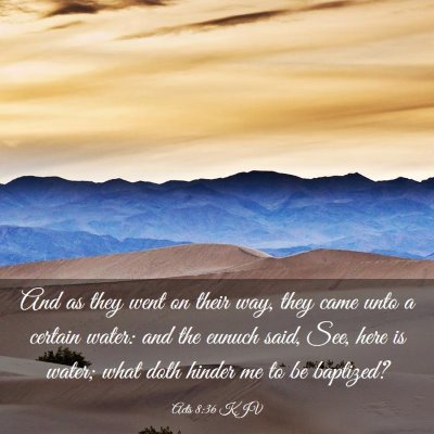 Picture 03 - Acts 8:36 KJV - And as they went on their way, they came unto a - Bible Verse Picture