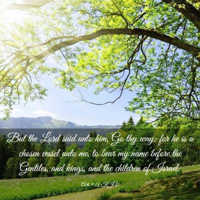 Picture 03 - Acts 9:15 KJV - But the Lord said unto him, Go thy way: for he is - Bible Verse Picture