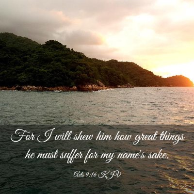 Picture 03 - Acts 9:16 KJV - For I will shew him how great things he must - Bible Verse Picture