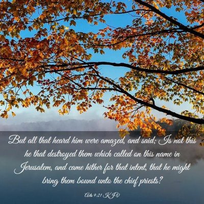Picture 03 - Acts 9:21 KJV - But all that heard him were amazed, and said; Is - Bible Verse Picture
