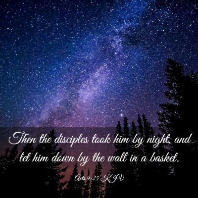 Picture 03 - Acts 9:25 KJV - Then the disciples took him by night, and let him - Bible Verse Picture