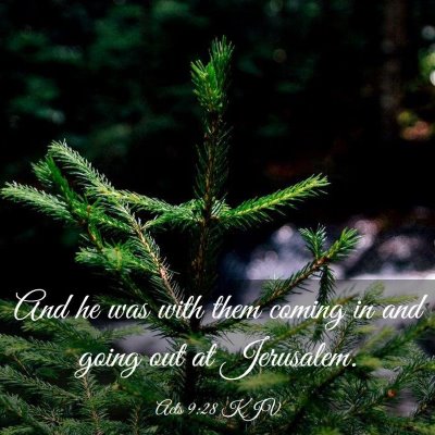 Picture 03 - Acts 9:28 KJV - And he was with them coming in and going out at - Bible Verse Picture