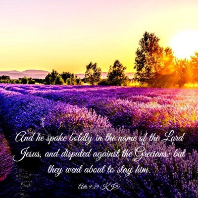 Picture 03 - Acts 9:29 KJV - And he spake boldly in the name of the Lord - Bible Verse Picture