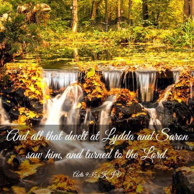 Picture 03 - Acts 9:35 KJV - And all that dwelt at Lydda and Saron saw him, - Bible Verse Picture