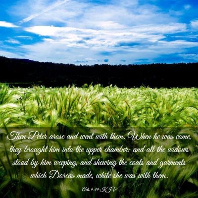Picture 03 - Acts 9:39 KJV - Then Peter arose and went with them. When he was - Bible Verse Picture