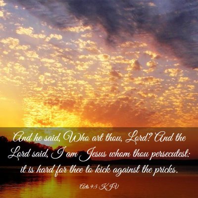 Picture 03 - Acts 9:5 KJV - And he said, Who art thou, Lord? And the Lord - Bible Verse Picture