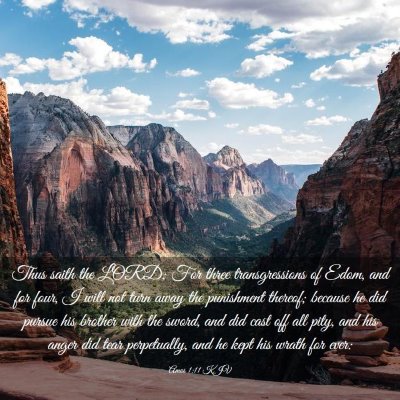 Picture 03 - Amos 1:11 KJV - Thus saith the LORD; For three transgressions of - Bible Verse Picture