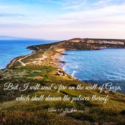 Picture 03 - Amos 1:7 KJV - But I will send a fire on the wall of Gaza, which - Bible Verse Picture