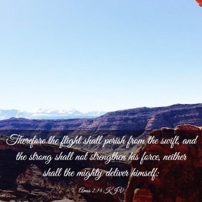 Picture 03 - Amos 2:14 KJV - Therefore the flight shall perish from the swift, - Bible Verse Picture