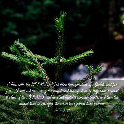 Picture 03 - Amos 2:4 KJV - Thus saith the LORD; For three transgressions of - Bible Verse Picture