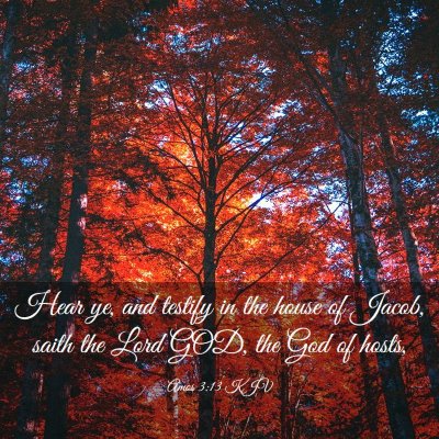 Picture 03 - Amos 3:13 KJV - Hear ye, and testify in the house of Jacob, saith - Bible Verse Picture