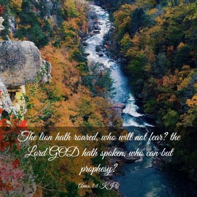Picture 03 - Amos 3:8 KJV - The lion hath roared, who will not fear? the Lord - Bible Verse Picture
