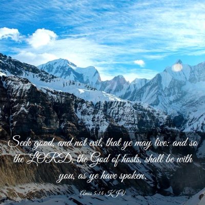 Picture 03 - Amos 5:14 KJV - Seek good, and not evil, that ye may live: and so - Bible Verse Picture