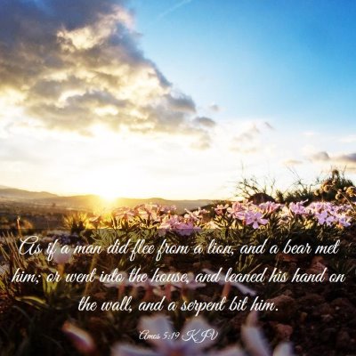 Picture 03 - Amos 5:19 KJV - As if a man did flee from a lion, and a bear met - Bible Verse Picture