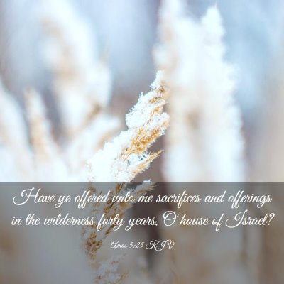 Picture 03 - Amos 5:25 KJV - Have ye offered unto me sacrifices and offerings - Bible Verse Picture